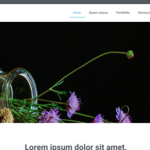 Modelo de site 001