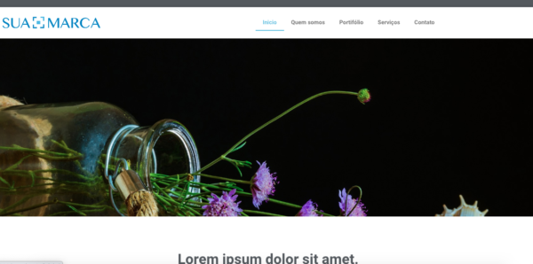 Modelo de site 001