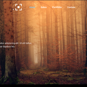 Modelo de site 004