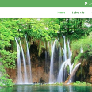Modelo de site 006